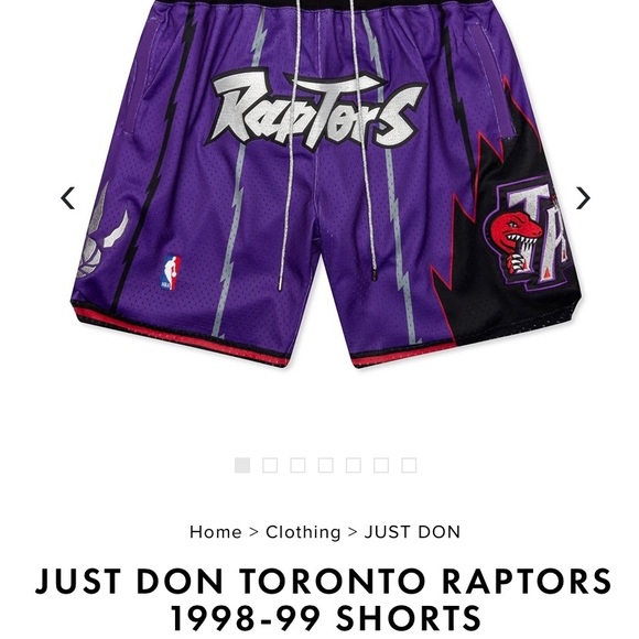 1998-99 Toronto Raptors Shorts. . No tags. Please make a offer. Can send pics - Picture 2 of 8